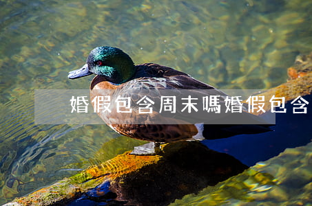 婚假包含周末嗎(婚假包含周末嗎江蘇)