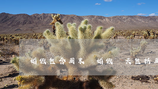 婚假包含周末嗎(婚假幾天包括周六日嗎)