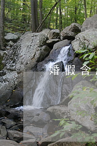 婚假含周末嗎(婚假算周末嗎)