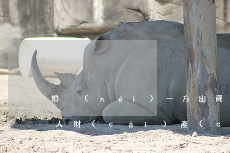 婚內(nèi)一方出資買房算個(gè)人財(cái)產(chǎn)嗎