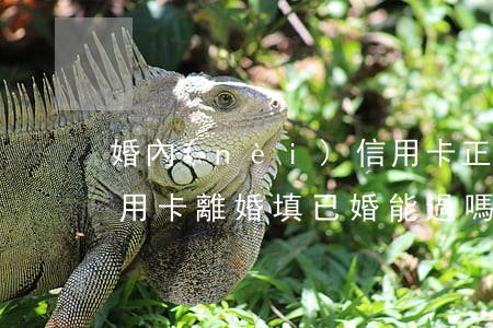 婚內(nèi)信用卡正常離婚后逾期(辦信用卡離婚填已婚能過嗎)