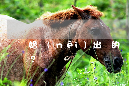 婚內(nèi)出軌的證據(jù)有哪些？