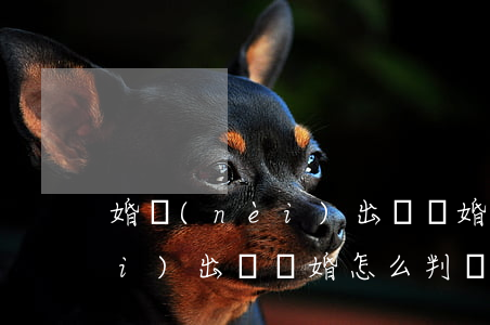 婚內(nèi)出軌離婚怎么判(婚內(nèi)出軌離婚怎么判,財(cái)產(chǎn)怎么分配)