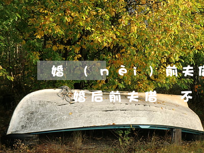 婚內(nèi)前夫借錢買車離婚后被起訴(離婚后前夫借錢不還,前妻成了被告)