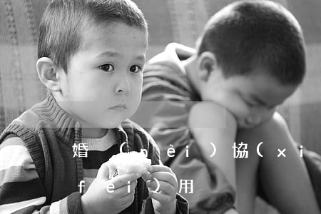 婚內(nèi)協(xié)議書公證費(fèi)用
