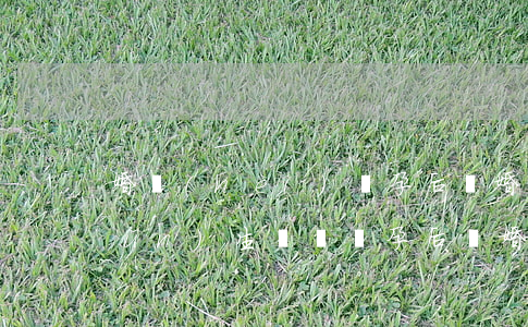 婚內(nèi)懷孕后離婚的能辦準(zhǔn)生證嗎(懷孕后離婚怎么辦準(zhǔn)生證)
