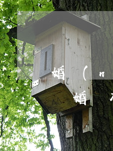 婚內(nèi)有債務(wù)被起訴可以離婚嗎(有債務(wù)官司期間能不能離婚)