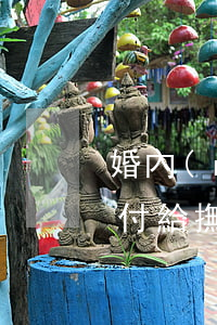 婚內(nèi)私生子應(yīng)如何付給撫養(yǎng)費