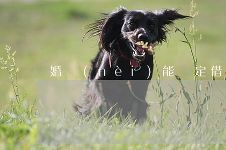 婚內(nèi)能約定借款協(xié)議嗎