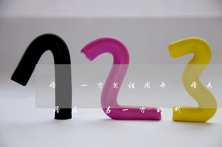 婚內一方欠信用卡離婚(夫妻一方欠信用卡離婚后對另一方的影響)