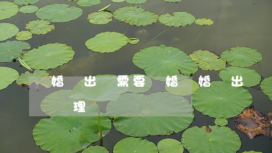 婚內出軌需要離婚嗎(婚內出軌離婚法律怎么處理)