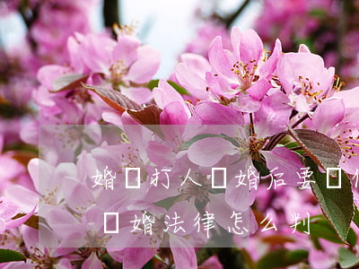 婚內打人離婚后要負什么責任(男方動手打人離婚法律怎么判)