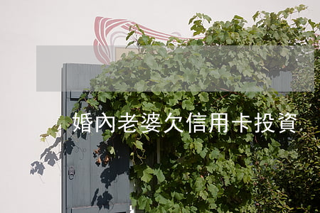 婚內老婆欠信用卡投資