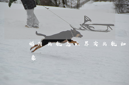 婚内出轨怎么界定出轨(如何看待婚内出轨现象)