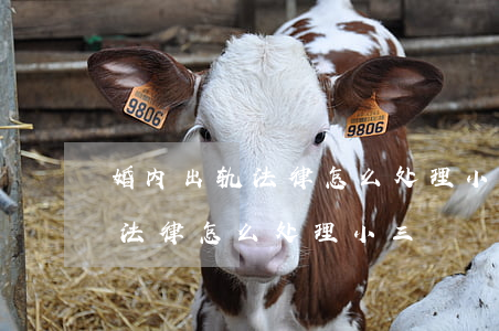 婚内出轨法律怎么处理小三(民法典婚内出轨法律怎么处理小三)