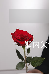 婚内欠信用卡钱 婚内欠信用卡钱
