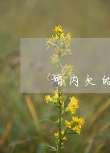 婚内欠的网贷(欠正规网贷)