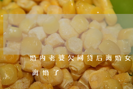 婚内老婆欠网贷后离婚(女方欠网贷老公提出离婚了)