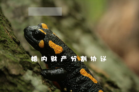 婚内财产分割协议