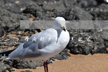婚内财产协议怎么写