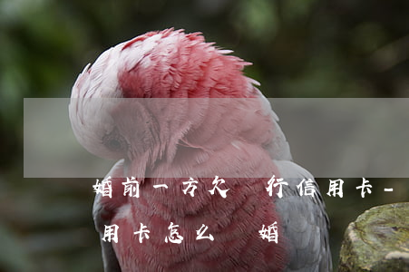 婚前一方欠銀行信用卡-婚前一方欠銀行信用卡怎么離婚