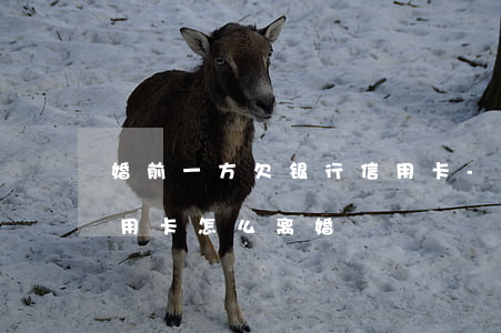 婚前一方欠银行信用卡-婚前一方欠银行信用卡怎么离婚