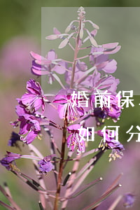 婚前保單離婚要分嗎(離婚時(shí)保單如何分割)