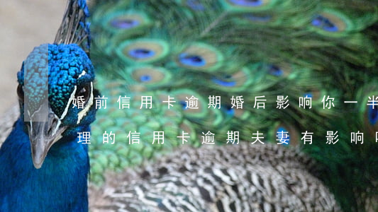 婚前信用卡逾期婚后影响你一半吗-婚前办理的信用卡逾期夫妻有影响吗