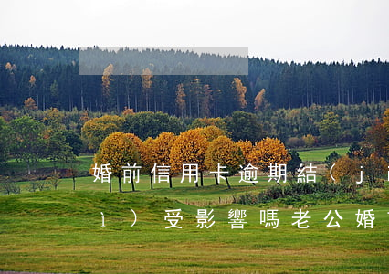 婚前信用卡逾期結(jié)婚后會(huì)受影響嗎(老公婚前的信用卡逾期會(huì)對(duì)老婆有影響嗎)