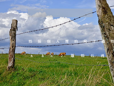 婚前個人買的房子離婚后過戶(婚前房產(chǎn)離婚后過戶給對方怎么過戶)