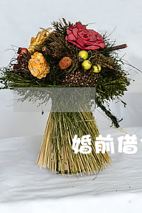 婚前借父亲钱属于共同债务吗