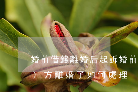 婚前借錢離婚后起訴 婚前借錢給對(duì)方離婚了如何處理