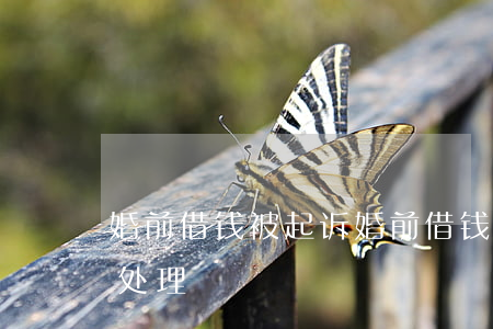 婚前借钱被起诉(婚前借钱给对方离婚了如何处理)