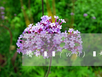 婚前債務(wù)離婚后怎么辦