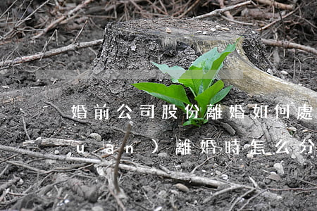 婚前公司股份離婚如何處理(婚前的股權(quán),離婚時怎么分?)