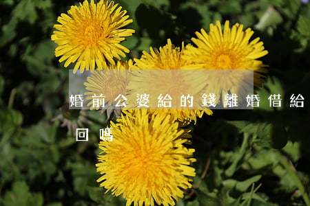 婚前公婆給的錢離婚(借給婆婆的錢離婚能要回嗎)