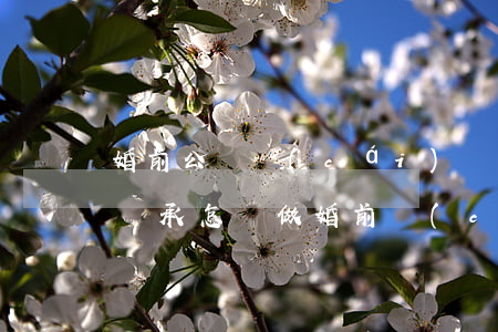 婚前公證財(cái)產(chǎn)怎么繼承(怎樣做婚前財(cái)產(chǎn)公證)