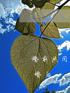 婚前共同出資買的房離婚了怎么分(新婚姻法 婚后一人出資買房離婚怎么分)