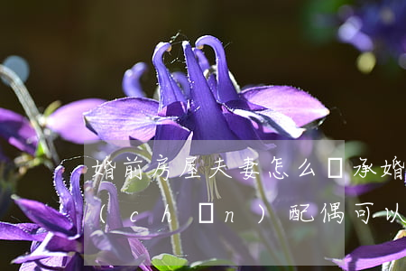婚前房屋夫妻怎么繼承(婚前財(cái)產(chǎn)配偶可以繼承嗎)
