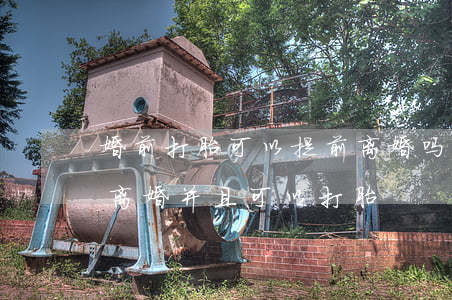 婚前打胎可以提前离婚吗(怀孕期间是否可以离婚并且可以打胎)