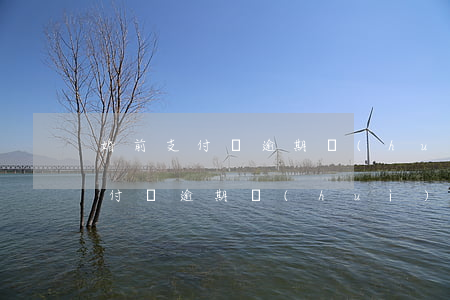 婚前支付寶逾期會(huì)影響老公嗎(支付寶逾期會(huì)影響配偶嗎)