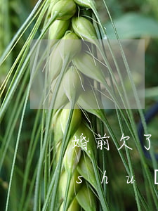 婚前欠了網(wǎng)貸不敢和老公說(shuō)(結(jié)婚以后才知道老公欠網(wǎng)貸)