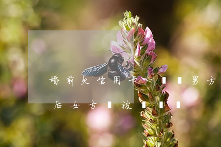 婚前欠信用卡一兩萬(男方婚前欠信用卡錢婚后女方會被牽連嗎)