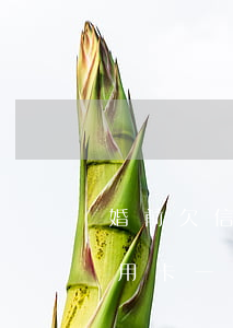 婚前欠信用卡一直困難怎么解決-婚前欠信用卡一直困難怎么解決呢