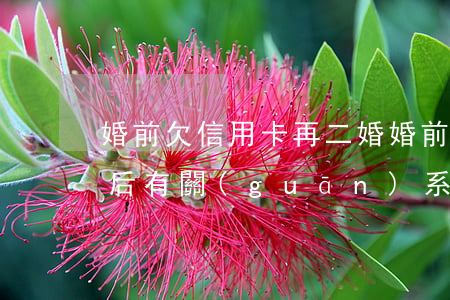 婚前欠信用卡再二婚(婚前對方欠信用卡離婚后有關(guān)系嗎)