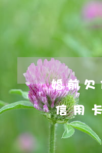 婚前欠信用卡前夫不還可以起訴嗎-婚前欠信用卡前夫不還可以起訴嗎怎么辦