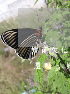 婚前欠信用卡沒有還婚后財產(chǎn)還嗎-婚前欠信用卡沒有還婚后財產(chǎn)還嗎有影響嗎