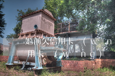 婚前欠信用卡網(wǎng)貸20萬(欠信用卡網(wǎng)貸20萬怎么辦)