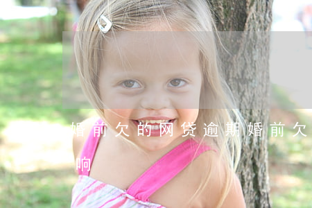 婚前欠的网贷逾期(婚前欠网贷结婚有什么影响)