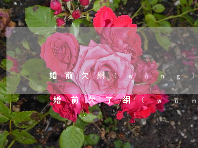 婚前欠網(wǎng)貸婚后不敢告訴老婆(婚前欠了網(wǎng)貸不敢和老公說)